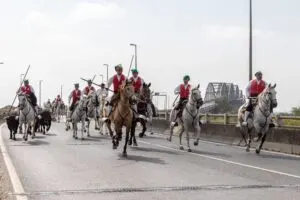 Festa do Colete Encarnado em Vila Franca de Xira
