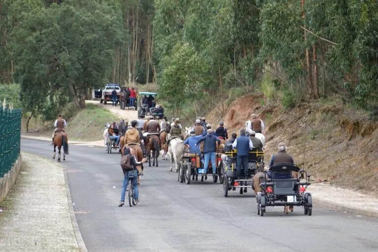 Cavaleiros e charretes num passeio equestre da Festa das Adiafas, numa estrada entre eucaliptos no Cadaval