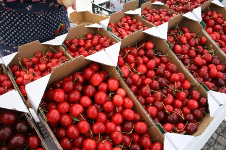 Caixas de cerejas de Resende à venda na banca de um produtor