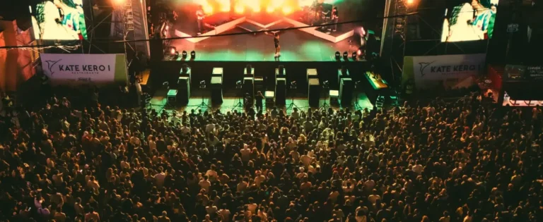 Público em frente ao palco num concerto noturno da Festa de Ferrel