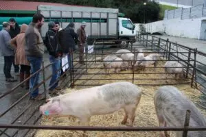 Feira do Fumeiro em Vinhais