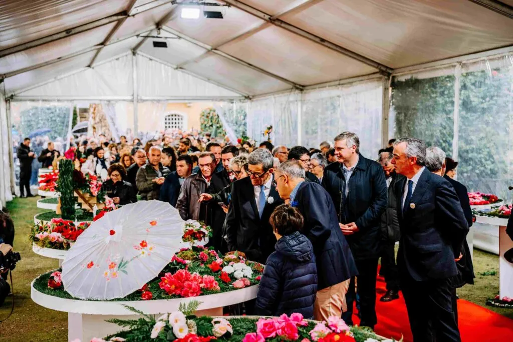 Festa das Camélias em Celorico de Basto