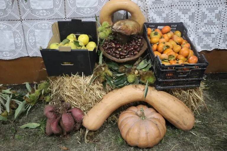 Banca de produtos da terra com castanhas, dióspiros, marmelos, abóboras e batata-doce sobre palha