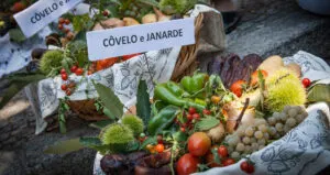 Feira das Colheitas em Arouca