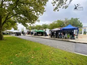 Feira do Dia de Todos os Santos em Vila Velha de Ródão