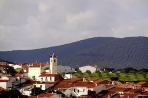 Magusto na Aldeia em Sobral da Adiça (Moura)