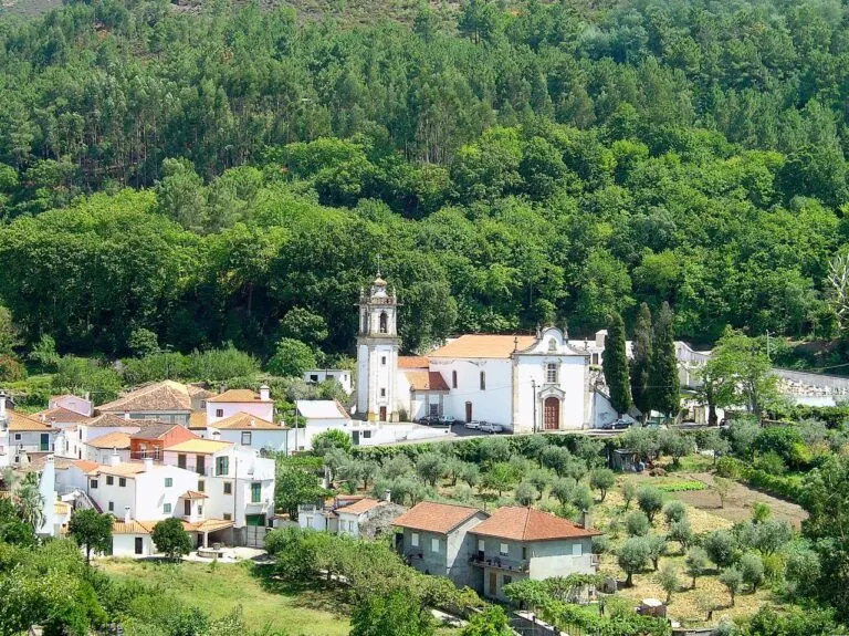 Casario branco de Góis e uma igreja com torre sineira na encosta, rodeados de olival e de mata
