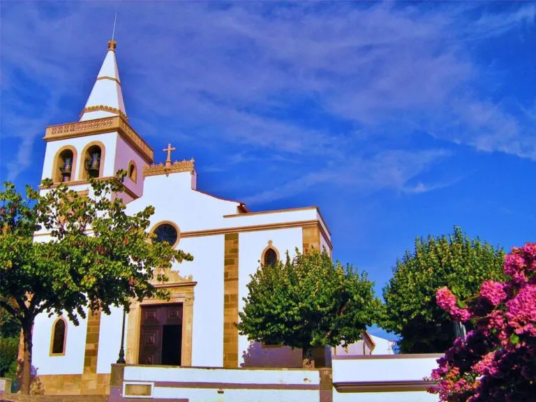 Igreja Matriz de Figueiró dos Vinhos, com a torre sineira e árvores no adro