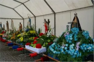 Festa em Honra de São Martinho em Gandra (Esposende)
