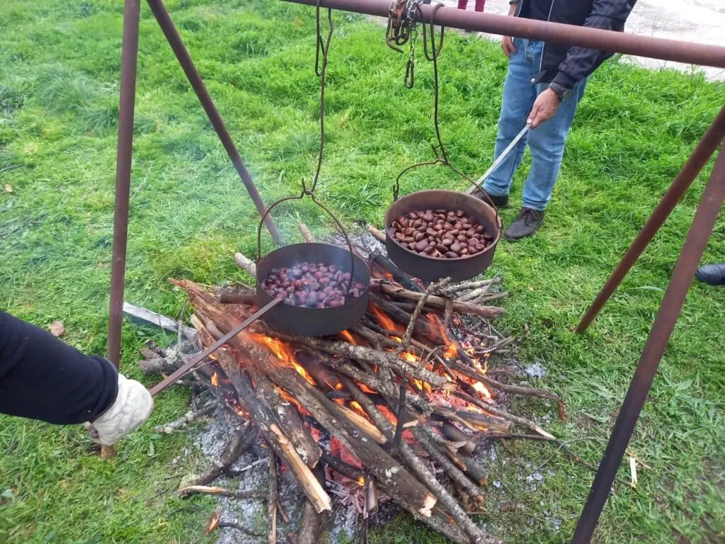 Festa da Castanha em Meixedo (Bragança)