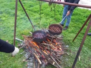 Festa da Castanha em Meixedo (Bragança)