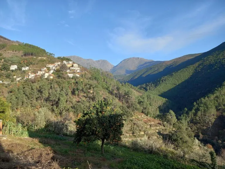 A aldeia de Cabeça na encosta, entre pinhais, com a serra da Estrela ao fundo