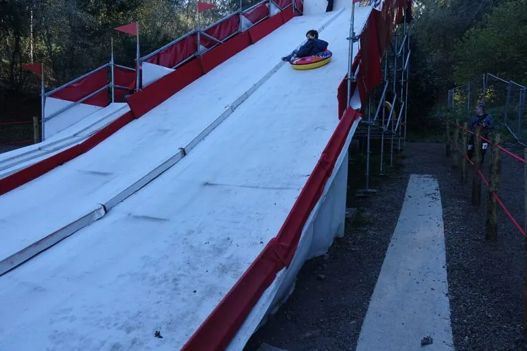 Rampa de deslizar do Perlim entre as árvores da Quinta do Castelo, em 2016