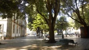 Viseu Natal e Mercado de Natal
