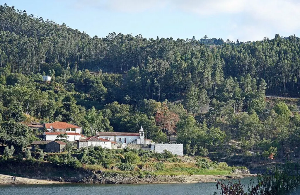 Festa de São Martinho em Sejães (Oliveira de Frades)