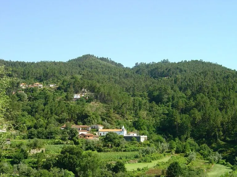 Vista de Sejães com a igreja paroquial branca na encosta, rodeada de campos e pinhal
