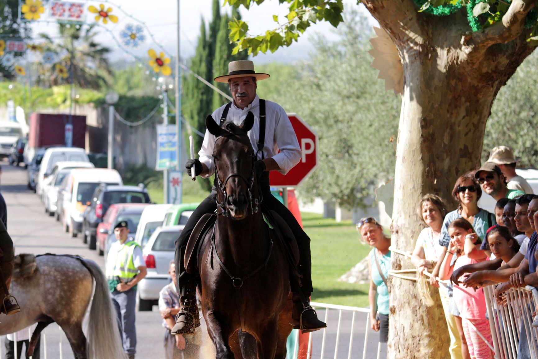 Festa de Nossa Senhora da Saúde em Vila Fesca de Azeitão